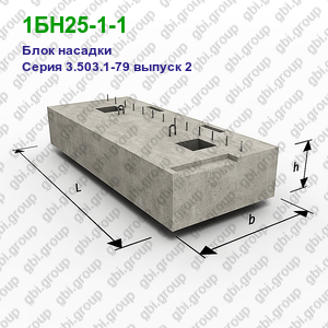1БН25-1-1 Блок насадки железобетонный Серия 3.503.1-79 выпуск 2